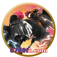 6789fc.com